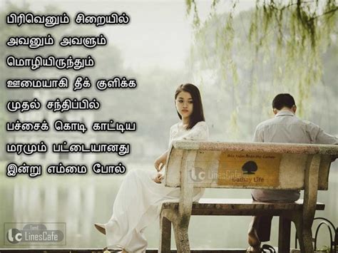 36 Love Breakup Quotes In Tamil