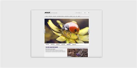 Tutorial - Photorealistic 3D illustrations - Cinema 4D | Behance