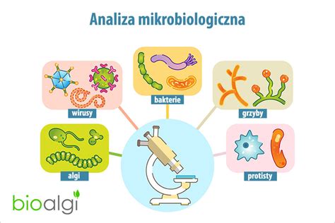 Analiza Mikrobiologiczna Bioalgi