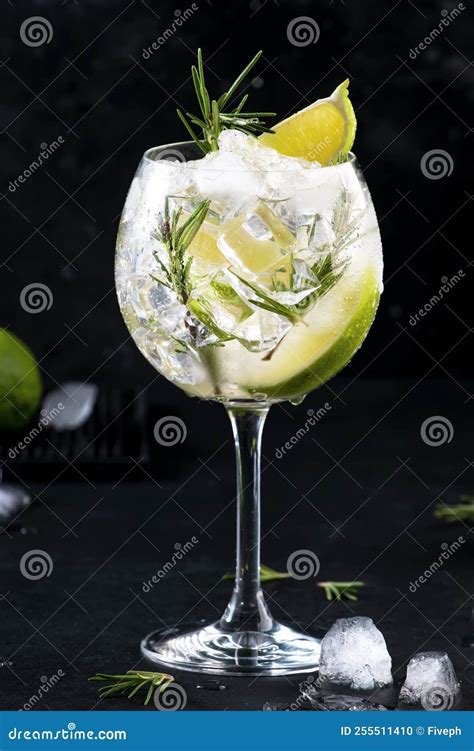 Gin Tonic Lime Alcoholic Cocktail Drink With Dry Gin Rosemary Tonic