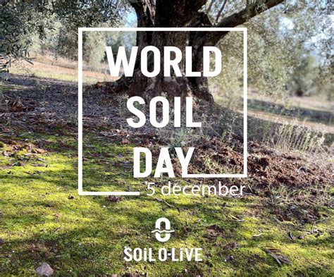 European Soil O Live Project Urges Soil Care To Ensure The Health Of