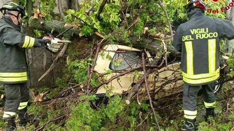 Allarme Maltempo Italia Alberi Caduti E Allagamenti In Friuli Venezia