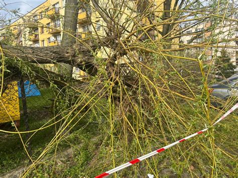 Wichura Szaleje Wiele Miejscowo Ci Bez Pr Du Foto Aktualizacja