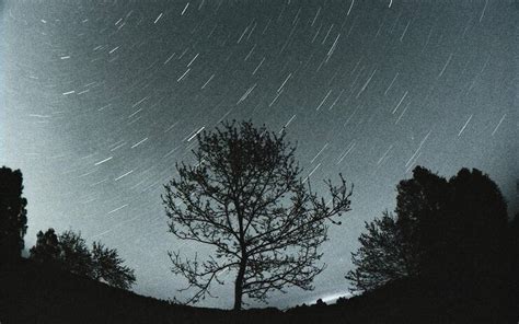 Lluvia De Estrellas L Ridas Se Acerca Esta Es La Mejor Fecha Para