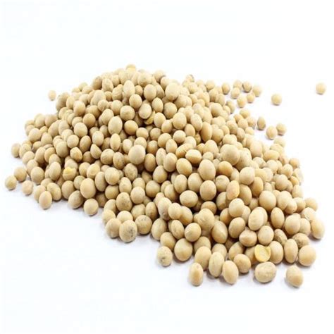 Soya Beans City Pulse