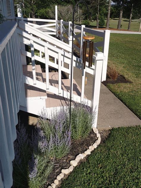 'Denim 'n Lace' Russian Sage | Perennials | Great Garden Plants