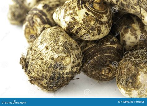 Organic Fresh Nigerian Coco Yam Or Taro Root Stock Photo Image Of