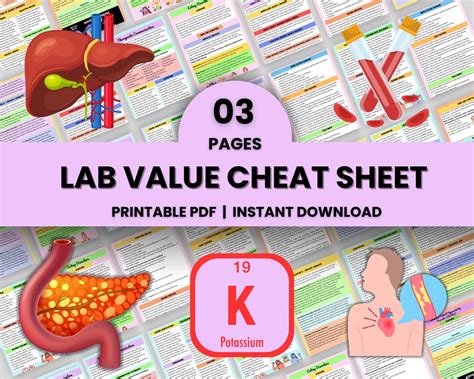 Lab Values Cheat Sheet 3 Pages Nursing Note Nurse Cheat Sheet Instant