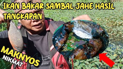 Berburu Ikan Di Rawa Yang Dalam Youtube