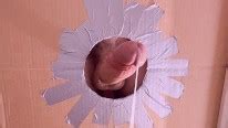 Pov Glory Hole Reupload Sound Fixed Pornhub Gay