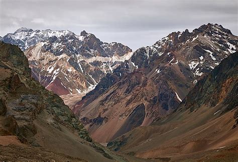 What Animals Live In The Andes Mountains? - WorldAtlas