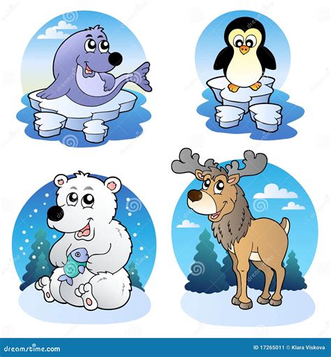 Various Cute Winter Animals Stock Image - Image: 17265011