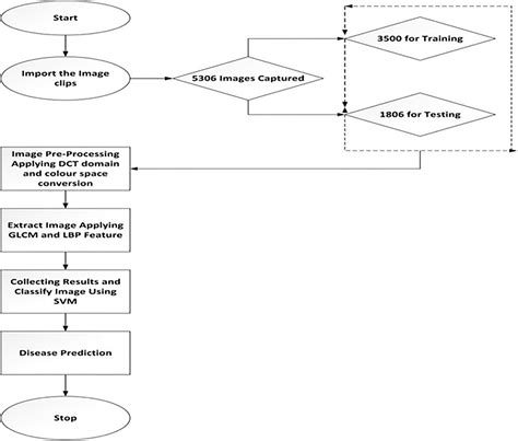 Cmc Free Full Text Plant Leaf Diseases Classification Using