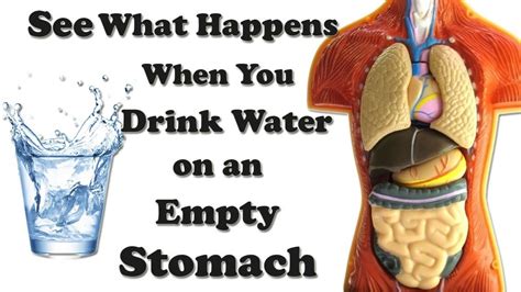 Effects of drinking water on an empty stomach - Sukhmani Powertronics