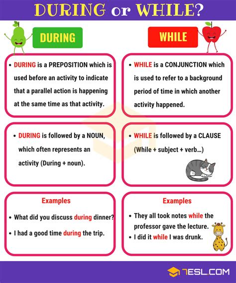 During Vs While Is During A Preposition • 7esl