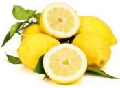 Essayez Les Jardins Du Petit Depot Citron Feuille Amalfi 500g Le