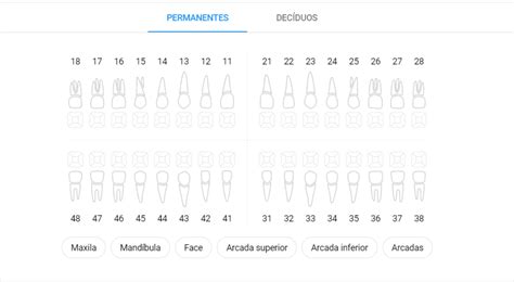 Passo A Passo Para Preencher O Odontograma Do Simples Dental