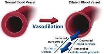 What is a Vasodilator - Hair Transplant Mentor