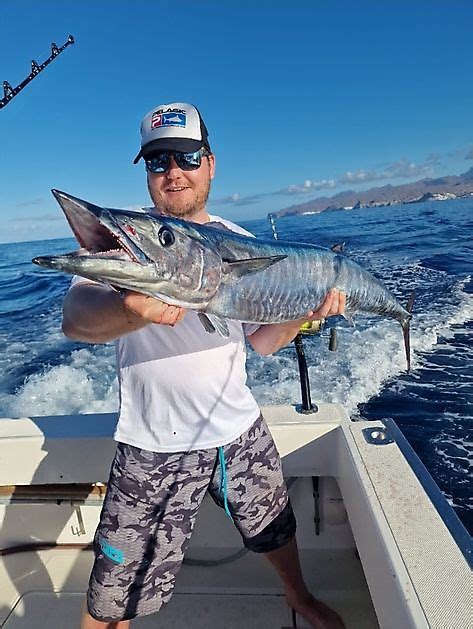 Cavalier Released A Blue Marlin Cavalier Blue Marlin