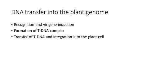 Solution Agro Bacterium Mediated Gene Transfer In Plants Part Ii