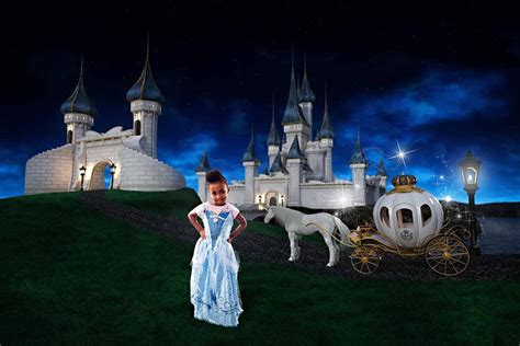 Cinderella Backdrop Fantasy Castle Digital Backdrop | Etsy