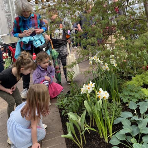 It's Back! Head to Meijer Gardens' Butterflies are Blooming 2024 for a ...