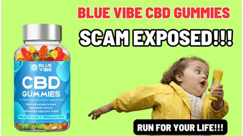 Blue Vibe Cbd Gummies Reviews Scam Worst Supplement Scam Of 2023 Watch Out