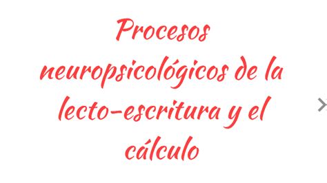 Procesos Neuropsicol Gicos De La Lecto Escritura Y El C Lculo By