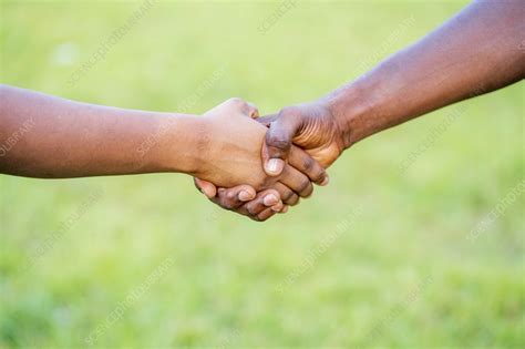 Two People Shaking Hands Stock Image F0361778 Science Photo Library