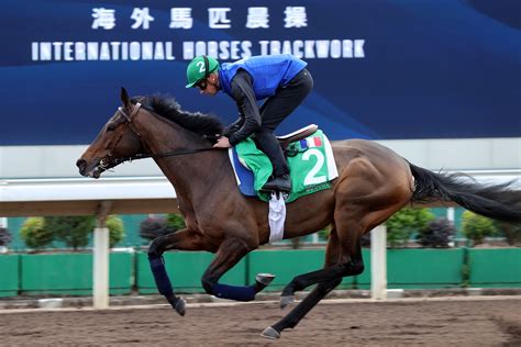 浪琴香港國際賽事週三晨操圖輯 賽馬新聞 香港賽馬會