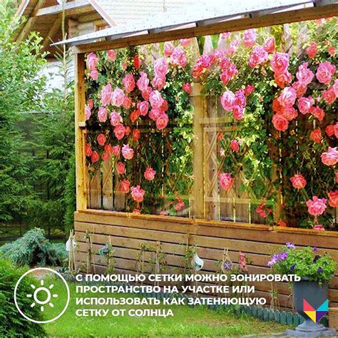 Яркая жизнь фото [71+ картинки]