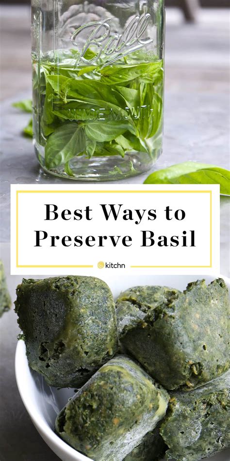 The Best Ways To Preserve Basil Kitchn