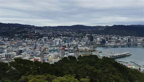 Earthquake strikes near Wellington | Newshub