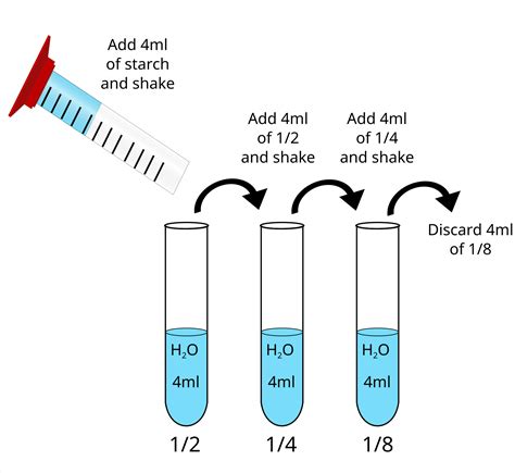 Starch Amylase Reaction Equation