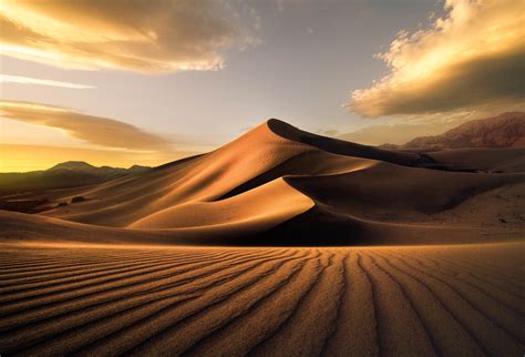 Golden Desert Sand Dunes - HD Wallpaper 