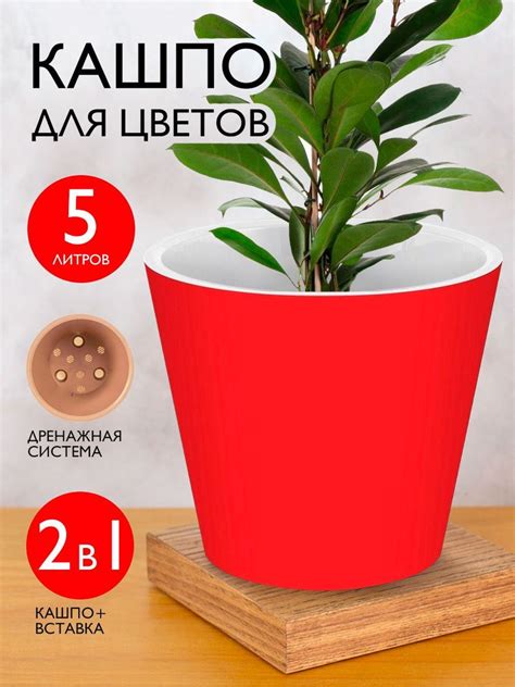 Горшок, кашпо для цветов, орхидеи, суккулентов, кактусов, фиалок ...