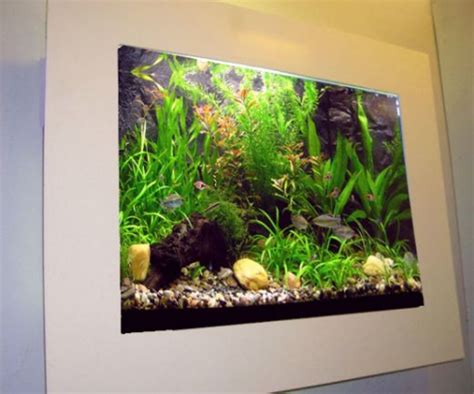 A Guide to Wall Mounted & In-Wall Fish Tanks | HubPages