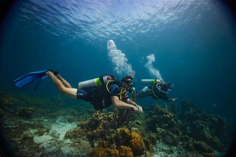 The Benefits Of Diving Nitrox Versus Air