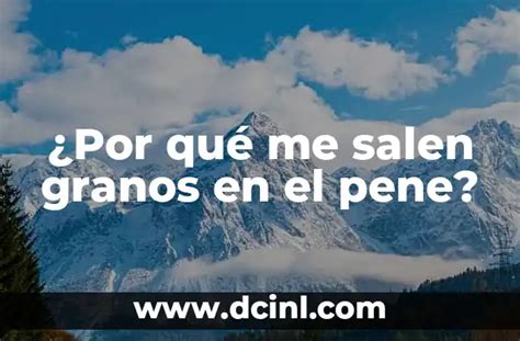 Hasta Dónde Llega el Pene en la Vagina Guía Completa para Entender la Anatomía Sexual