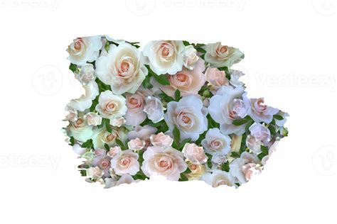 Flower Sublimation Clipart Png 21444243 Png