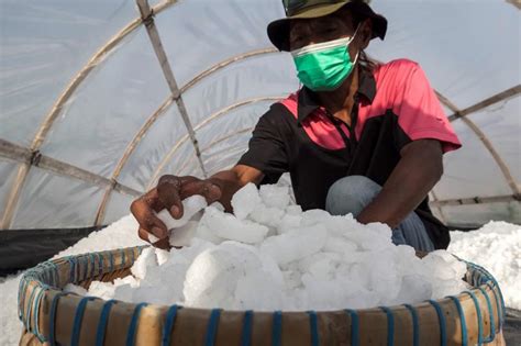 Petani Garam Metode Tunnel Di Kebumen Republika Online