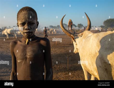 Tribu Mundari Boy Cubiertos De Ceniza Teniendo Cuidado De Vacas De