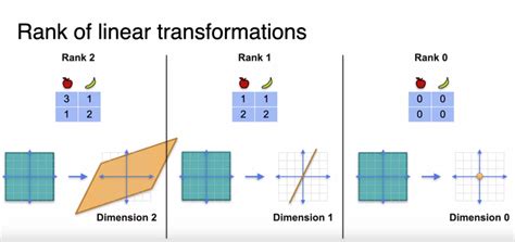 My Datascience Journey Determinants