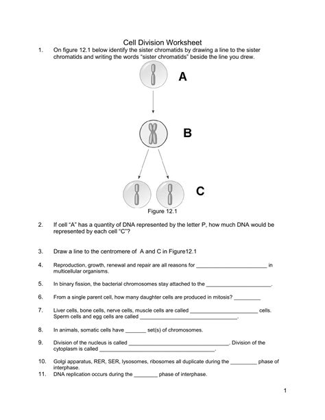 Exercise 4 Review Sheet The Cell Anatomy And Division 1