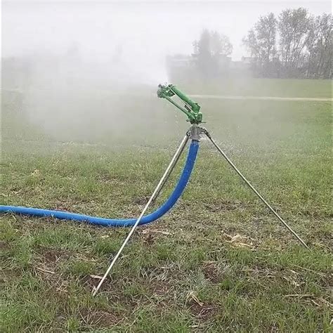 Labirinto Tipicamente Serie Irrigatore A Carota Talentuoso Intagliare Panda