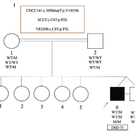 Pedigrees And Representative Segregation Of The Curated Variants In