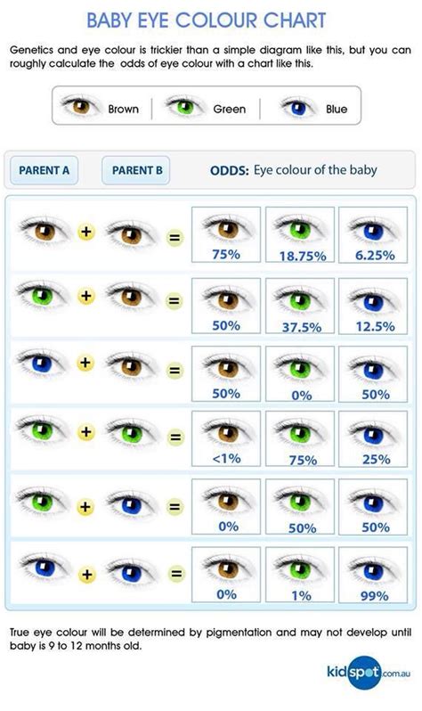 Dominant And Recessive Eye Color Chart