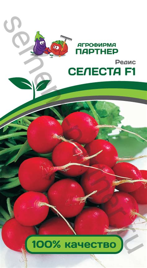 РЕДИС СЕЛЕСТА F1. ПАРТНЕР