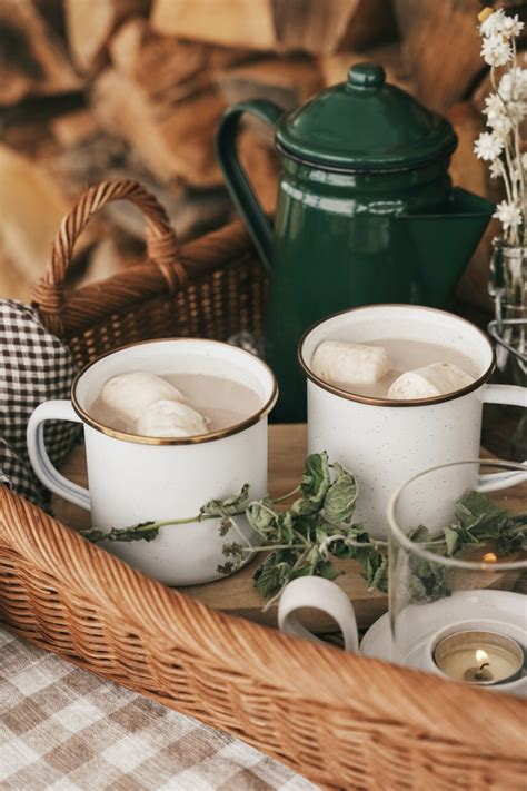 Wintertime Awakening With Minty Mind Hot Chocolate Herbal Academy