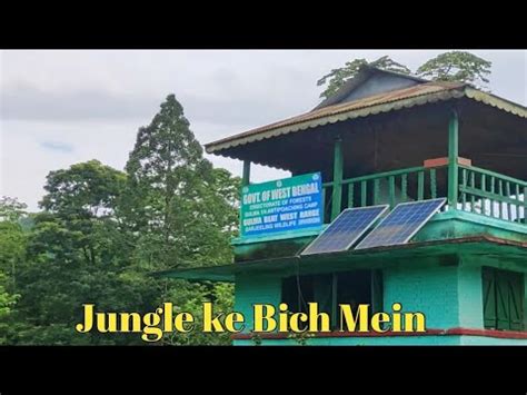 Siliguri Alipurduar Jn Amidst Lush Green Forest Youtube